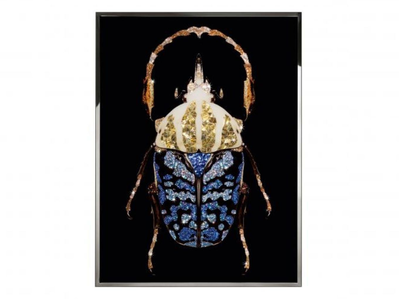 Картина Coleottero