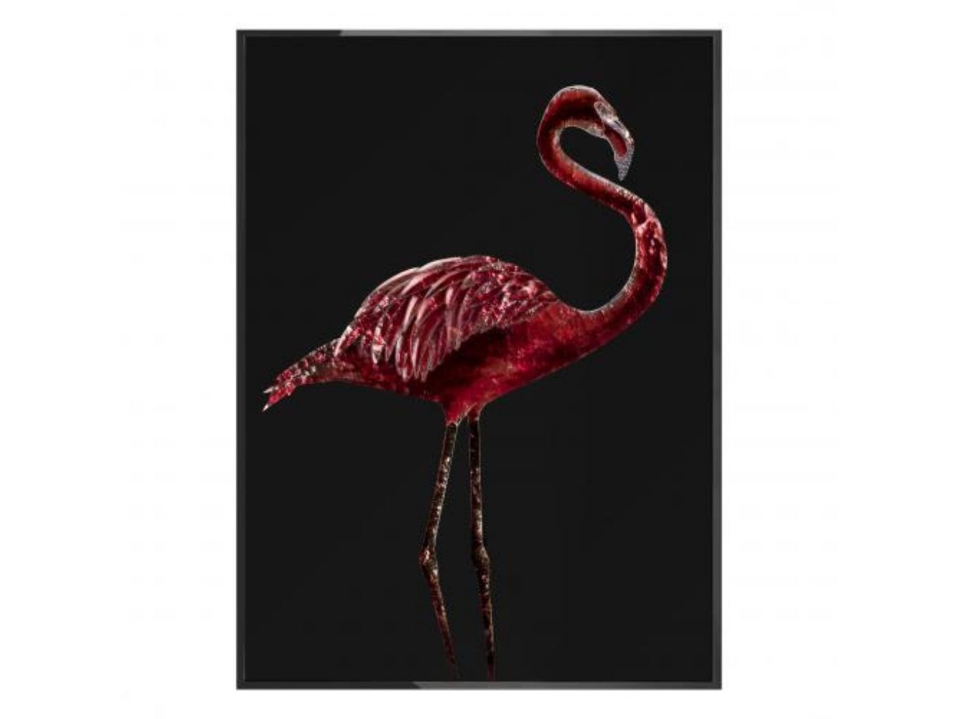 Картина Fenicottero Dark