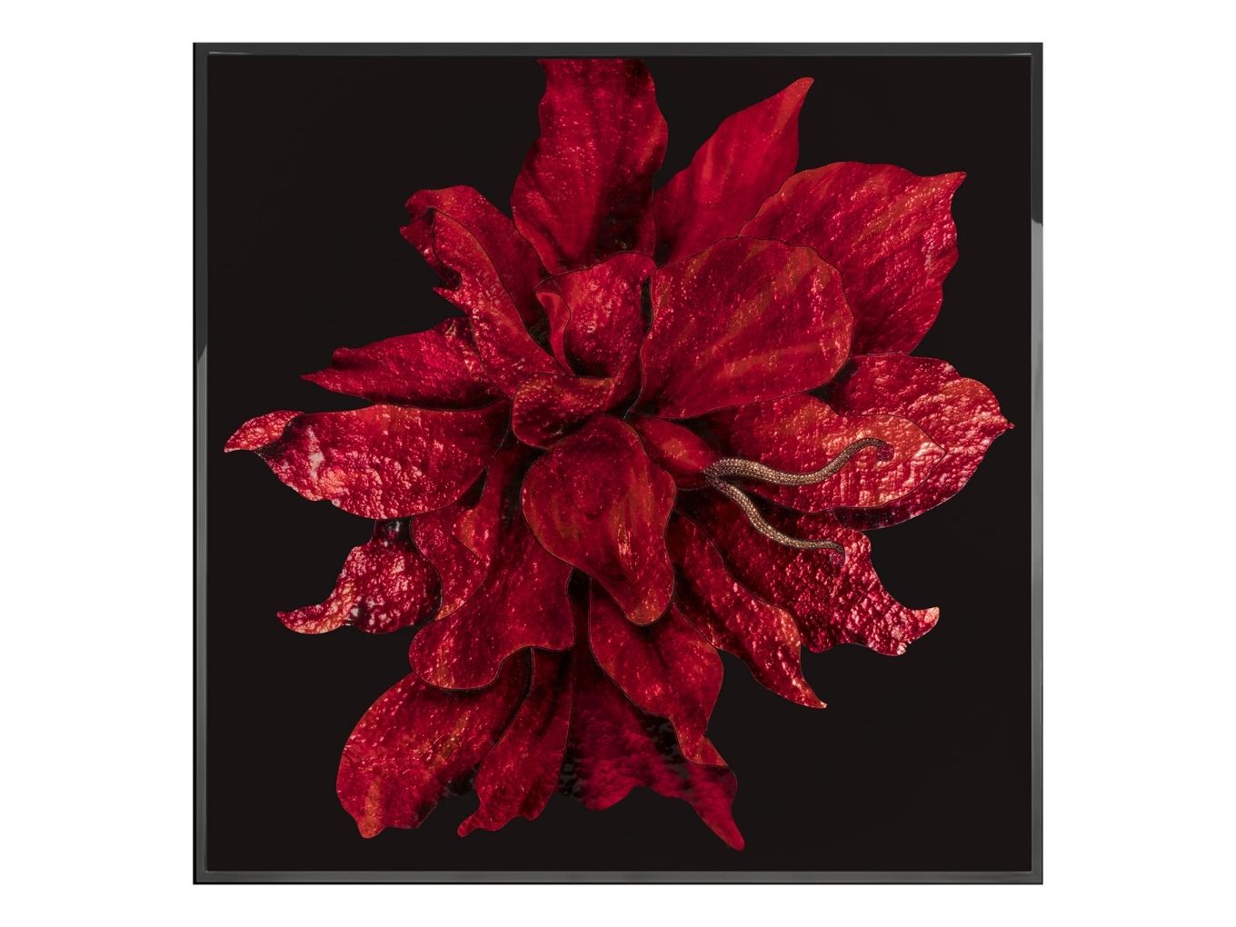 Картина Red Flower