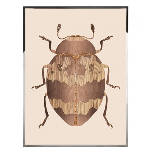 Картина Beetle D