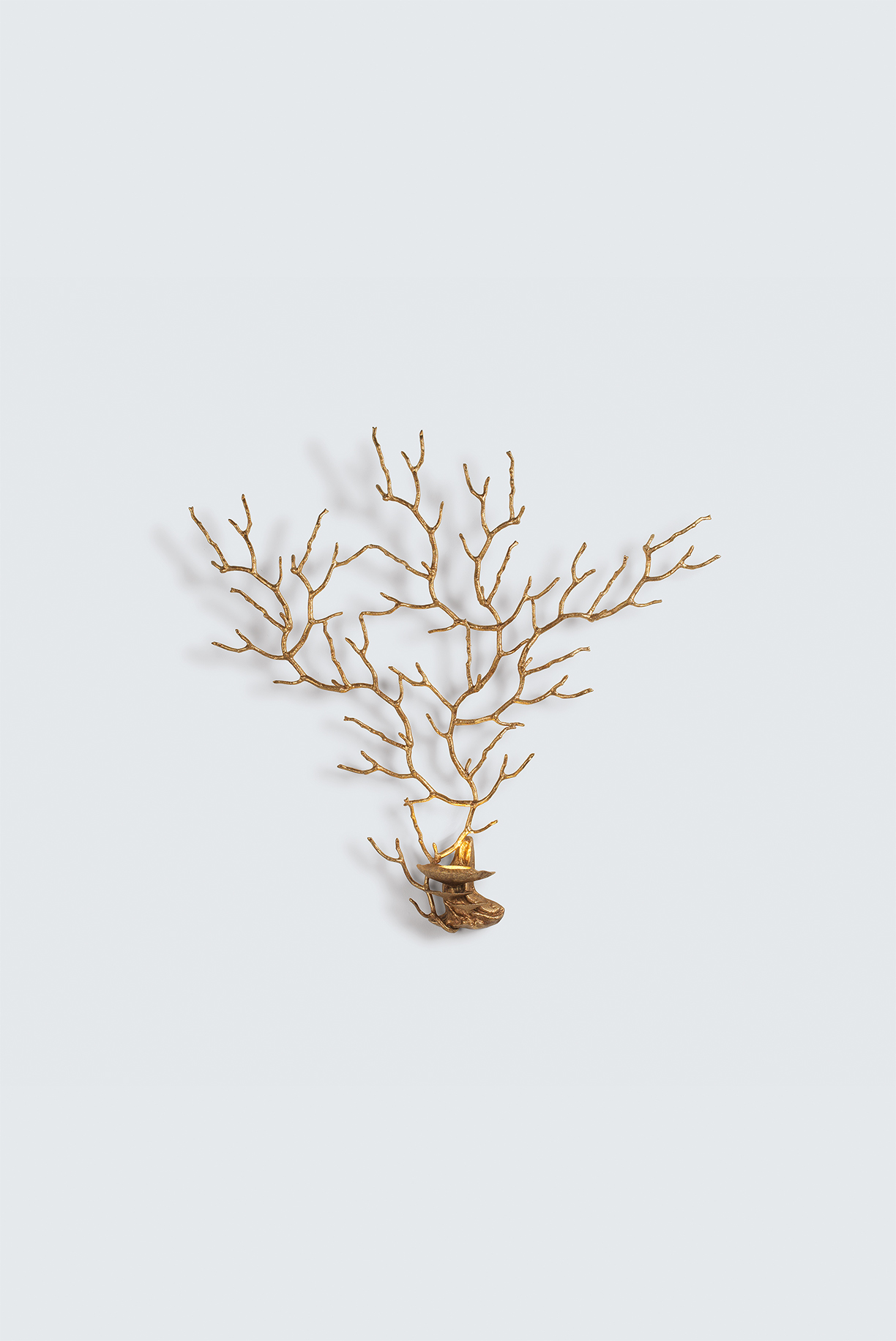 Бра Coral Sea Fan