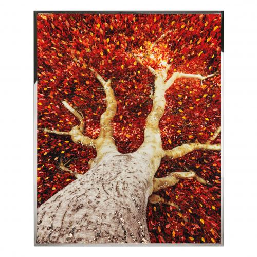 Картина  Albero