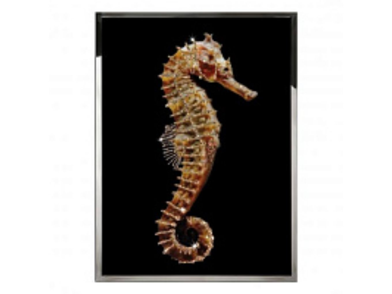 Картина  Hippocampus