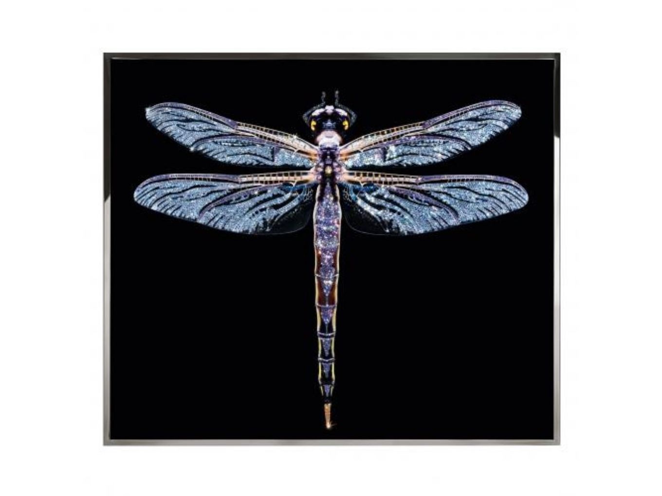 Картина  Libra