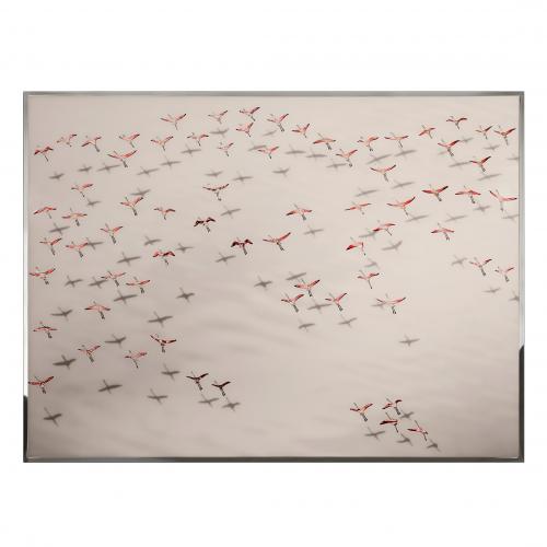 Картина  Flamingos