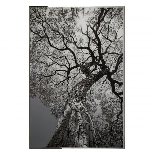 Картина Arbor