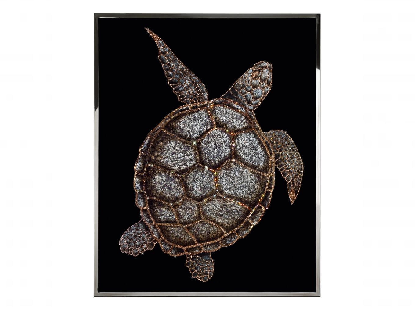 Картина Tartaruga