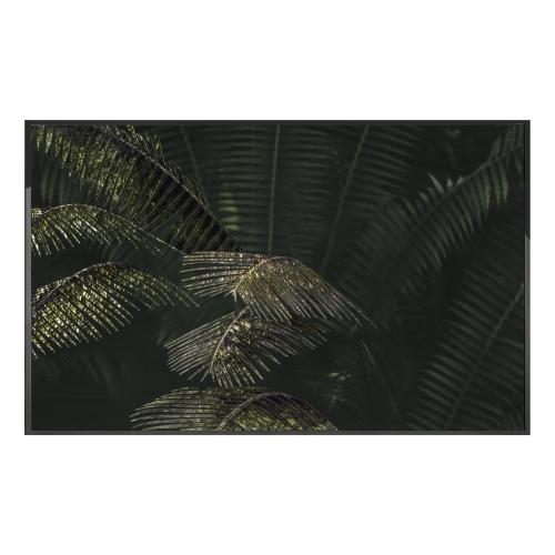 Картина  Kentia