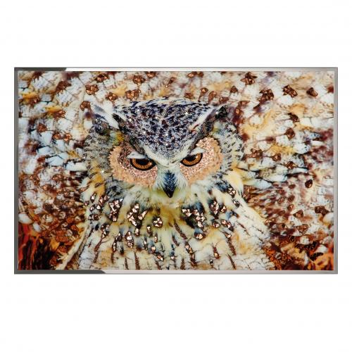 Картина  Gufo