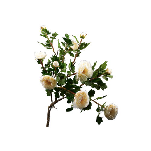 Ветка пиона 