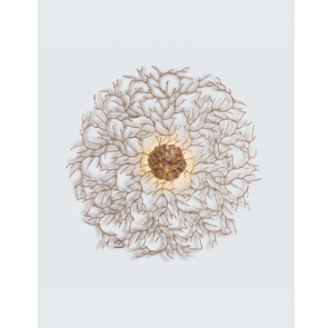 Бра Coral Zoa Eye Extra Large