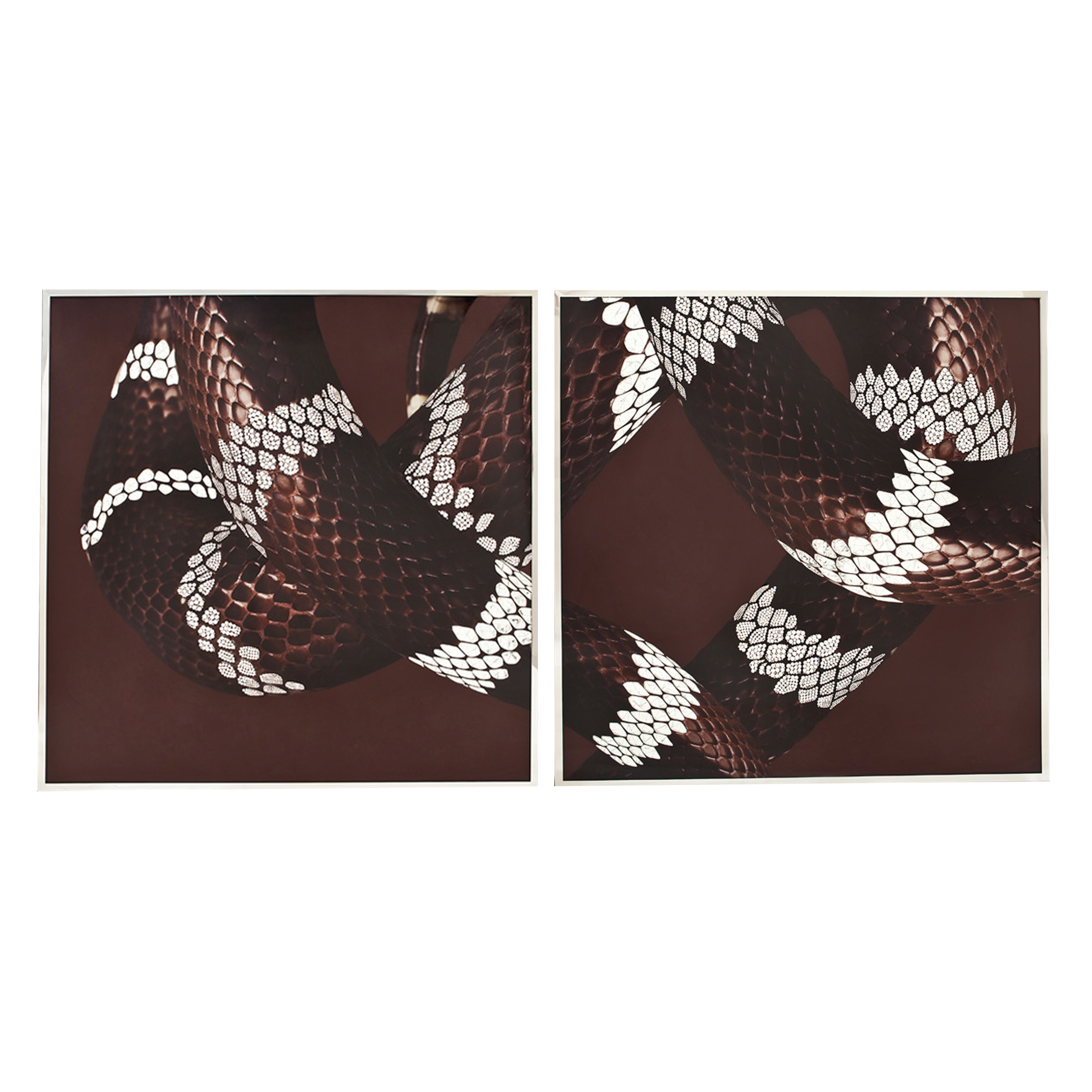 Картина Serpenti