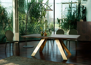 Стол обеденный Celtis