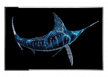Картина  Blu Marlin