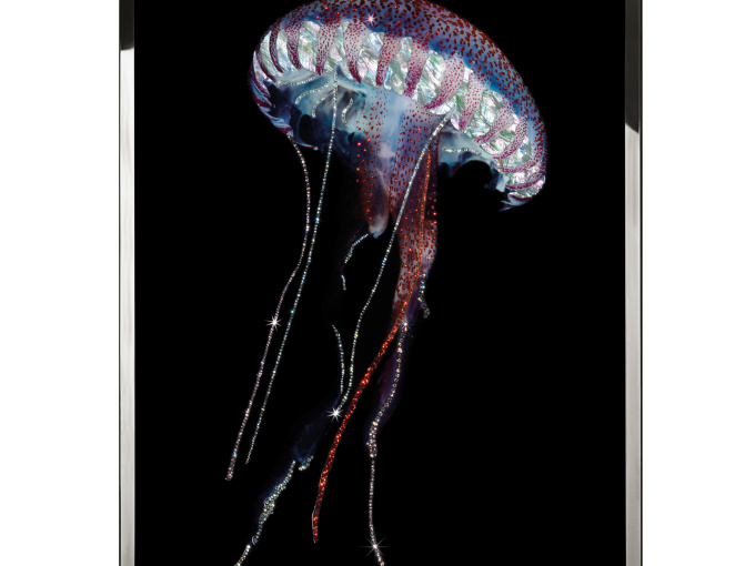 Картина Steno