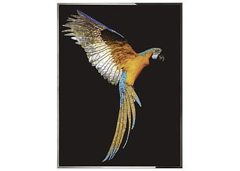 Картина Parrot Ara