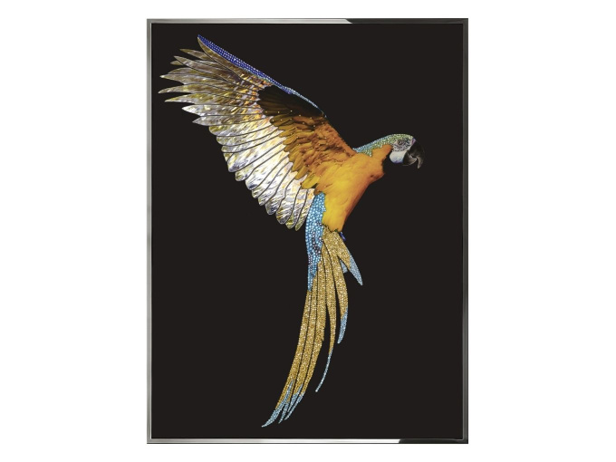 Картина Parrot Ara