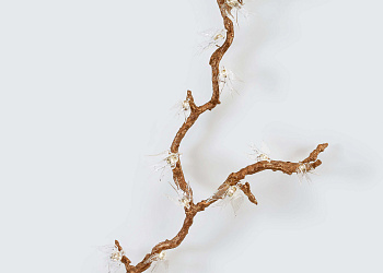 Настенний светильник Flock