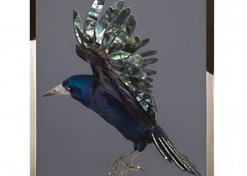 Картина  Corvo