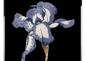 Картина  Iris