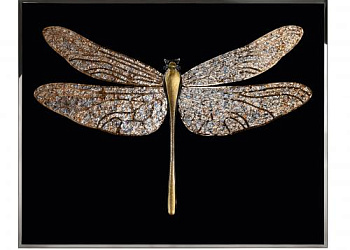 Картина   Libellula