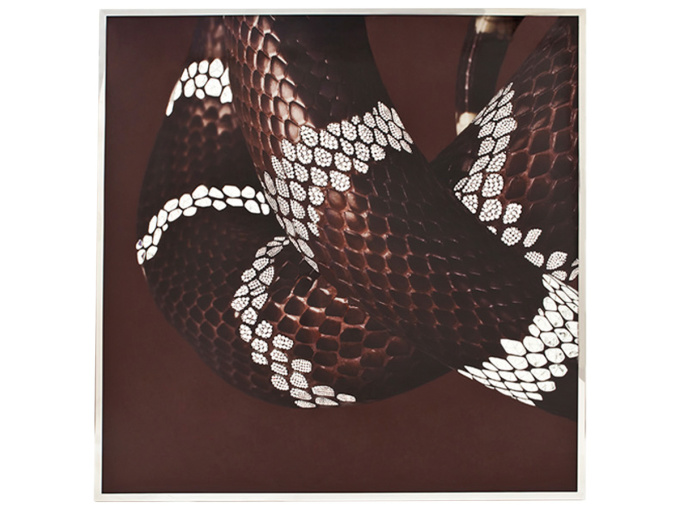 Картина Serpenti