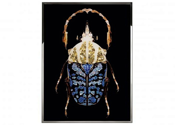 Картина Coleottero