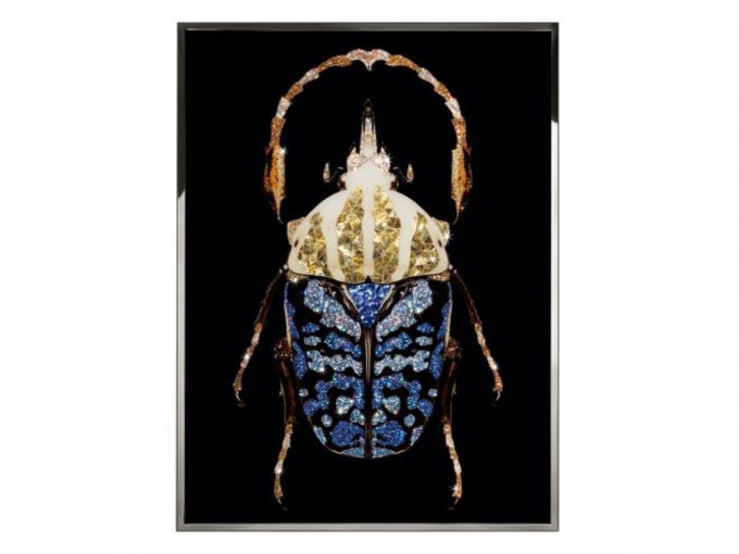 Картина Coleottero