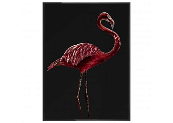Картина  Fenicottero Dark