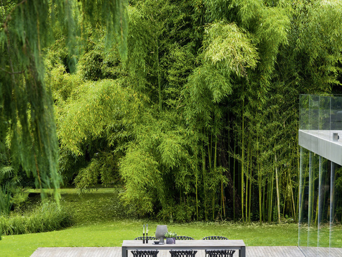 Обідний стіл   Dolmen