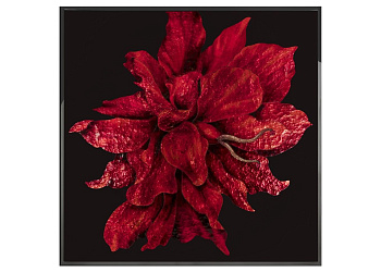 Картина Red Flower