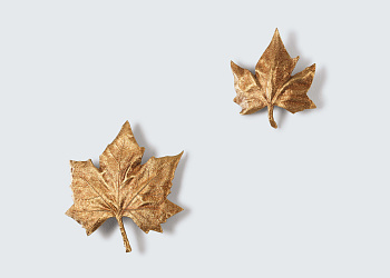 Декоративний елемент Folio Leaf Large