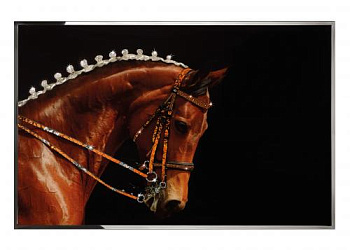 Картина  Cavallo