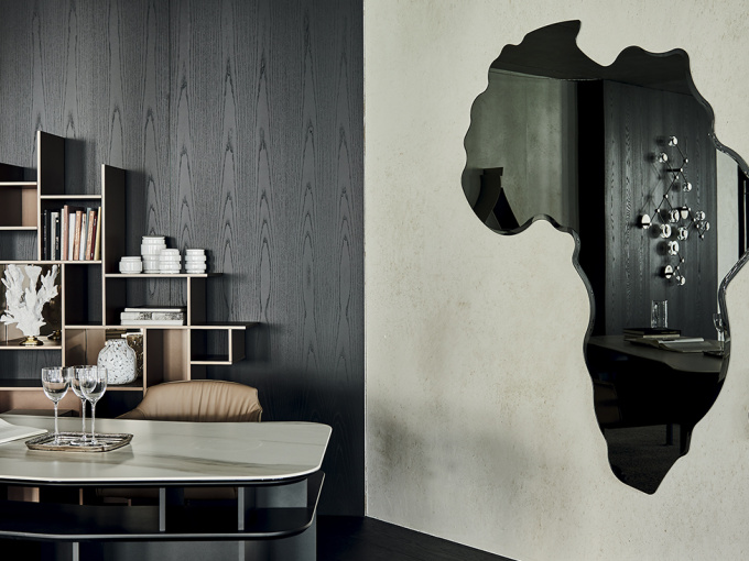 Mirror Africa Magnum