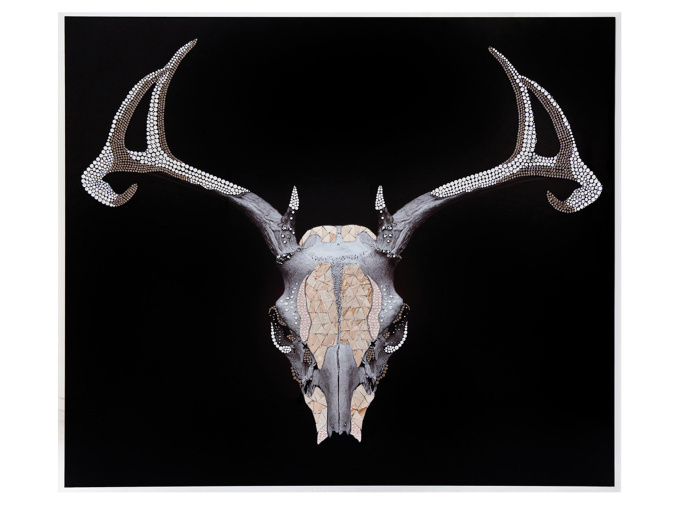 Картина Trofeo Cervo