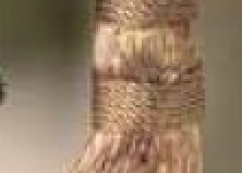 Канат nappa fascetta oro