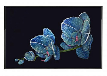 Картина Orchidea BLU