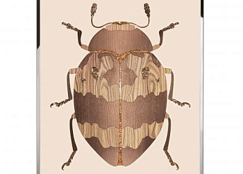 Картина Beetle D