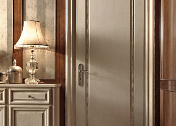 Двері Michelangelo