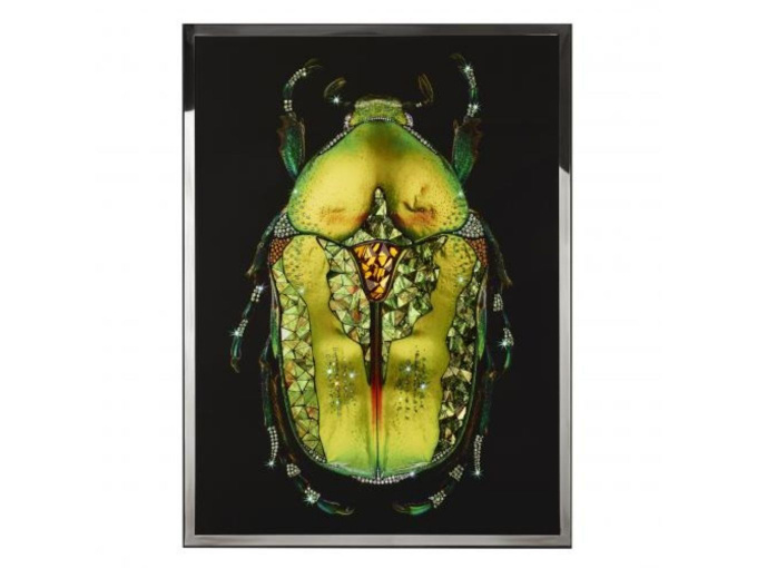 Картина  Coleottero Verde