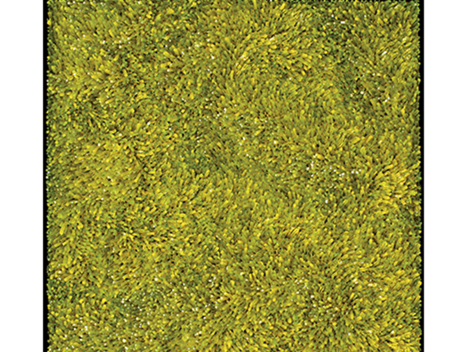 Картина Cattedrale N.28