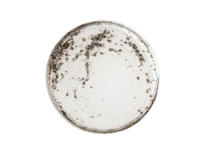 Настенная лампа Orla Medium Wall Light