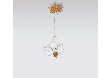 Люстра Folio Maple Male