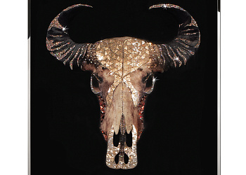 Картина Trofeo Bufalo