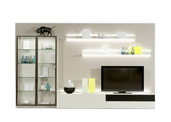 Книжная композиция Intralatina 2015.10-C