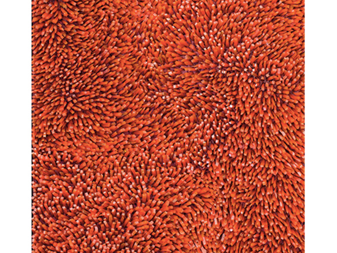 Картина CattedraleE N.37