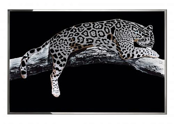 Картина  Leopardo ORO