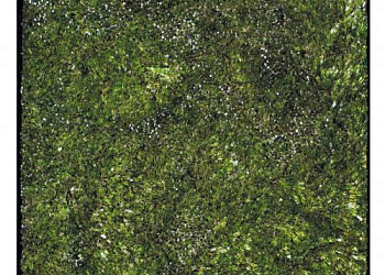 Картина   Cattedrale N.27