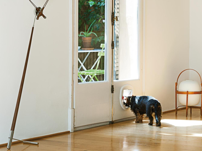 Годинники Pisa