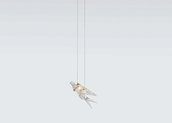 Люстра Voa Gutturalis Small